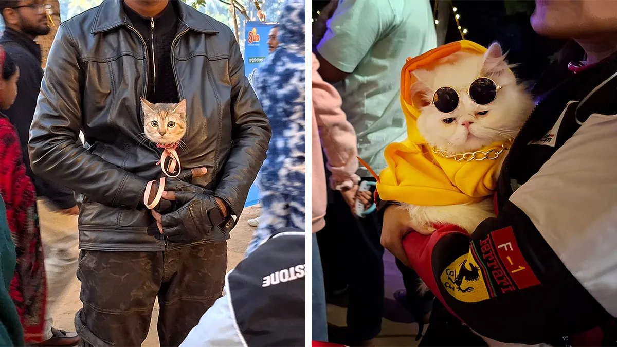 16 Adorable Moments I Captured At Paw Carnival 2026
