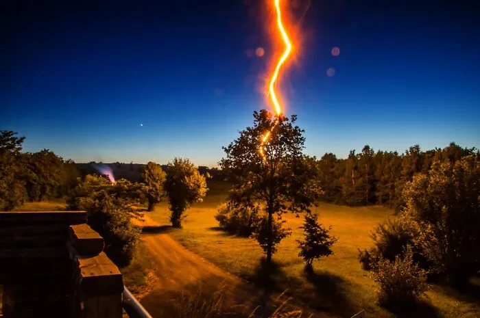 Lightning striking a tree at dusk over a rural field, dramatic scene suggesting rained frogs event
