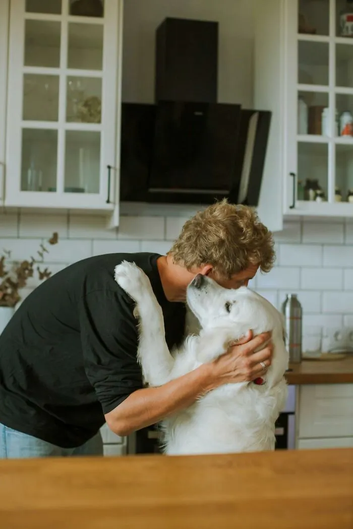 74 Times People And Pets Showed Intelligence That Was Impressive And Low‑Key Terrifying