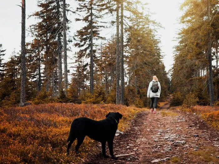 74 Times People And Pets Showed Intelligence That Was Impressive And Low‑Key Terrifying