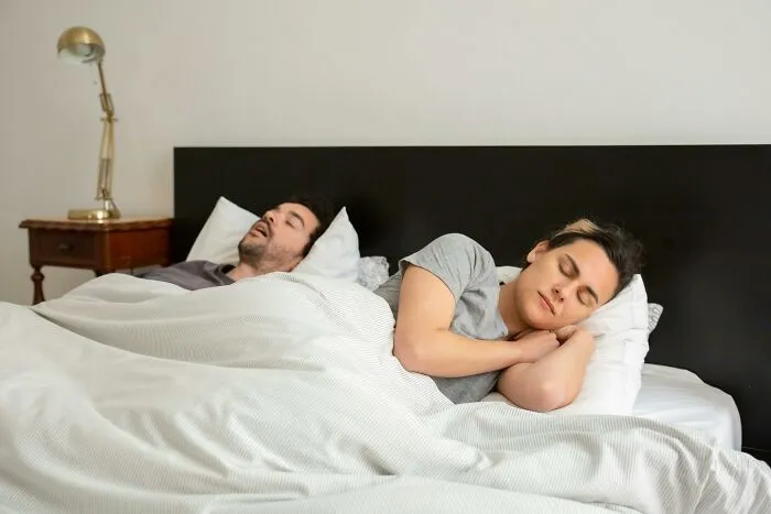 "Women Are Cats In Disguise": 69 Men Share What They Learned About Women After Living With One