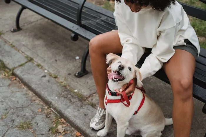 74 Times People And Pets Showed Intelligence That Was Impressive And Low‑Key Terrifying