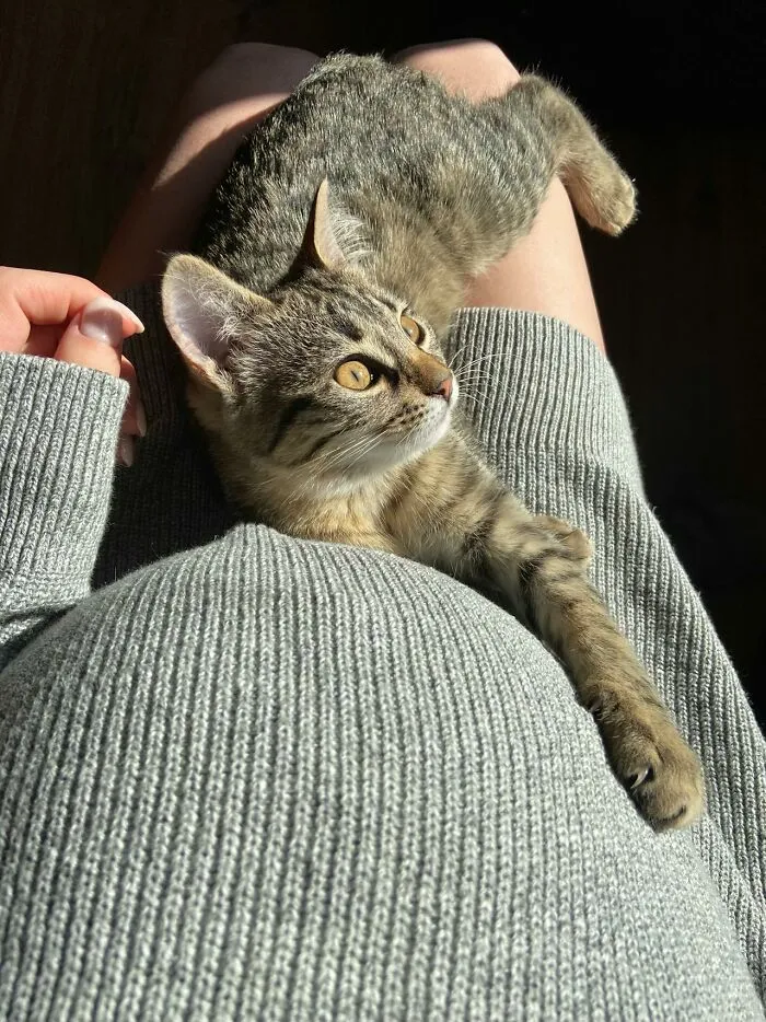 74 Times People And Pets Showed Intelligence That Was Impressive And Low‑Key Terrifying
