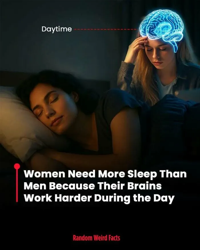 100 Facts That Linger In Your Head For Days