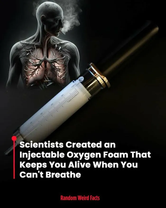 100 Facts That Linger In Your Head For Days
