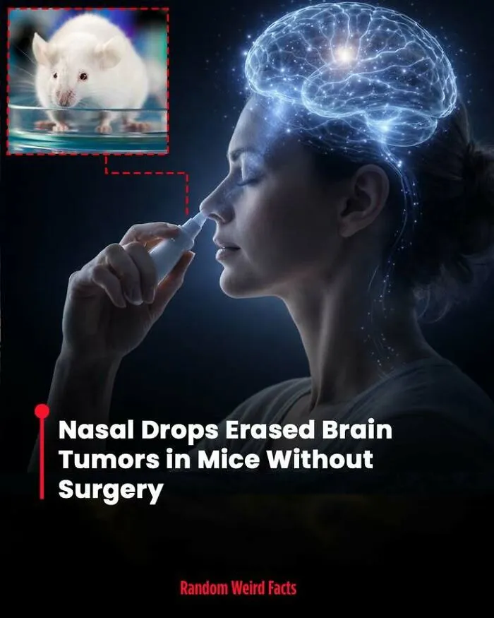 100 Facts That Linger In Your Head For Days