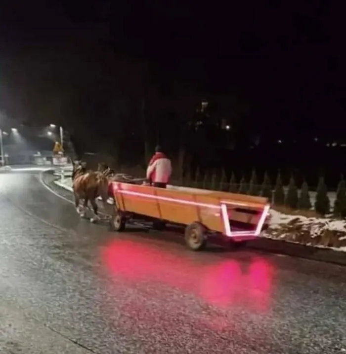 Horse-drawn cart with neon lights on a wet road at night, capturing a funny Eastern European experience.