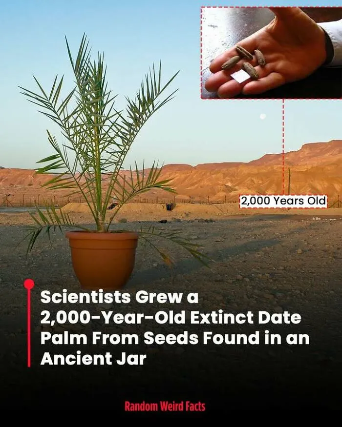 100 Facts That Linger In Your Head For Days