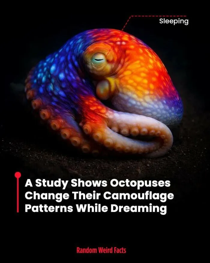 100 Facts That Linger In Your Head For Days