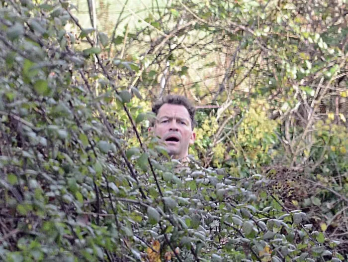 Man looking shocked while partially hidden in dense bushes, capturing a cringe-worthy pop culture moment.