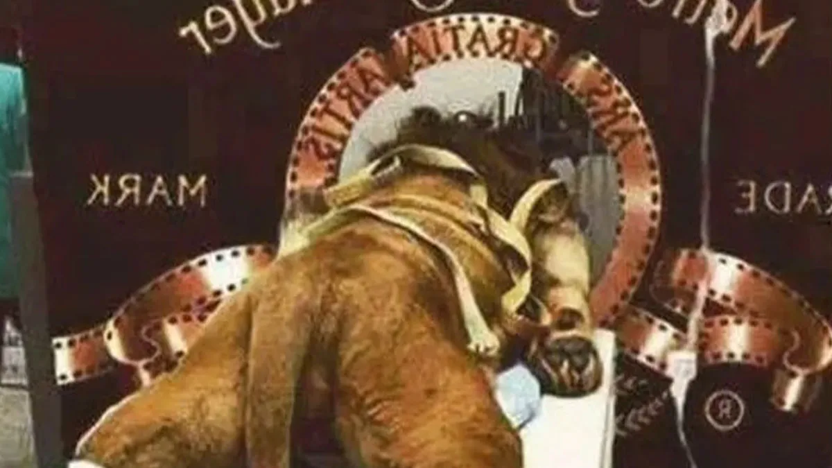 20 Imágenes virales que la gente no cuestionó cuando definitivamente debería haberlo hecho