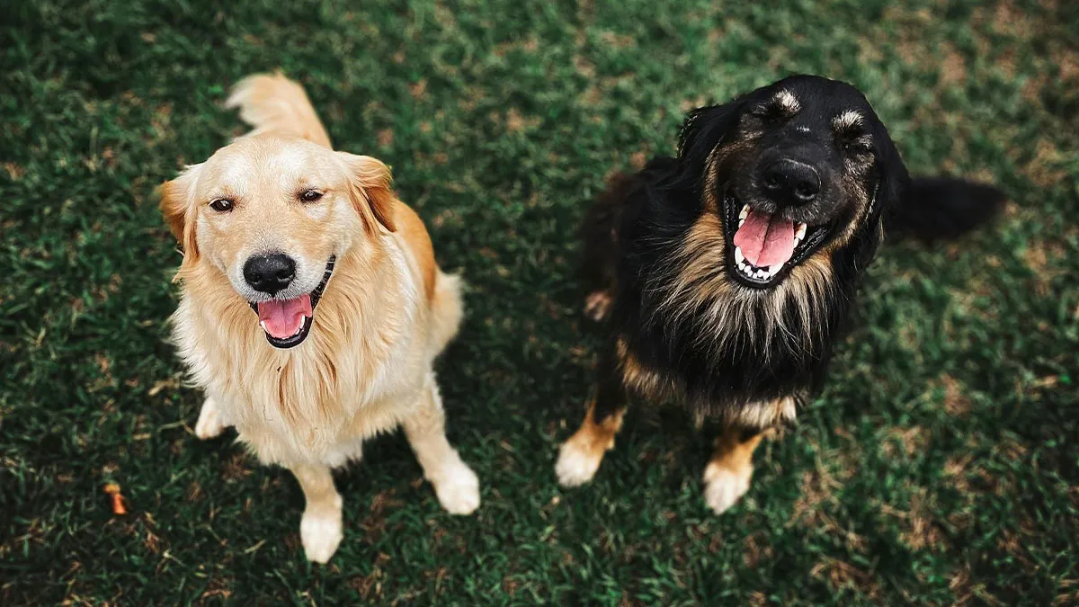 35 Americans Share The Good Things Happening In The U.S. That No One Talks About