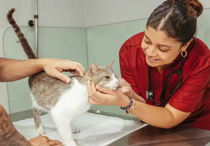 85 Facts And Secrets About Various Jobs, Shared By The Employees