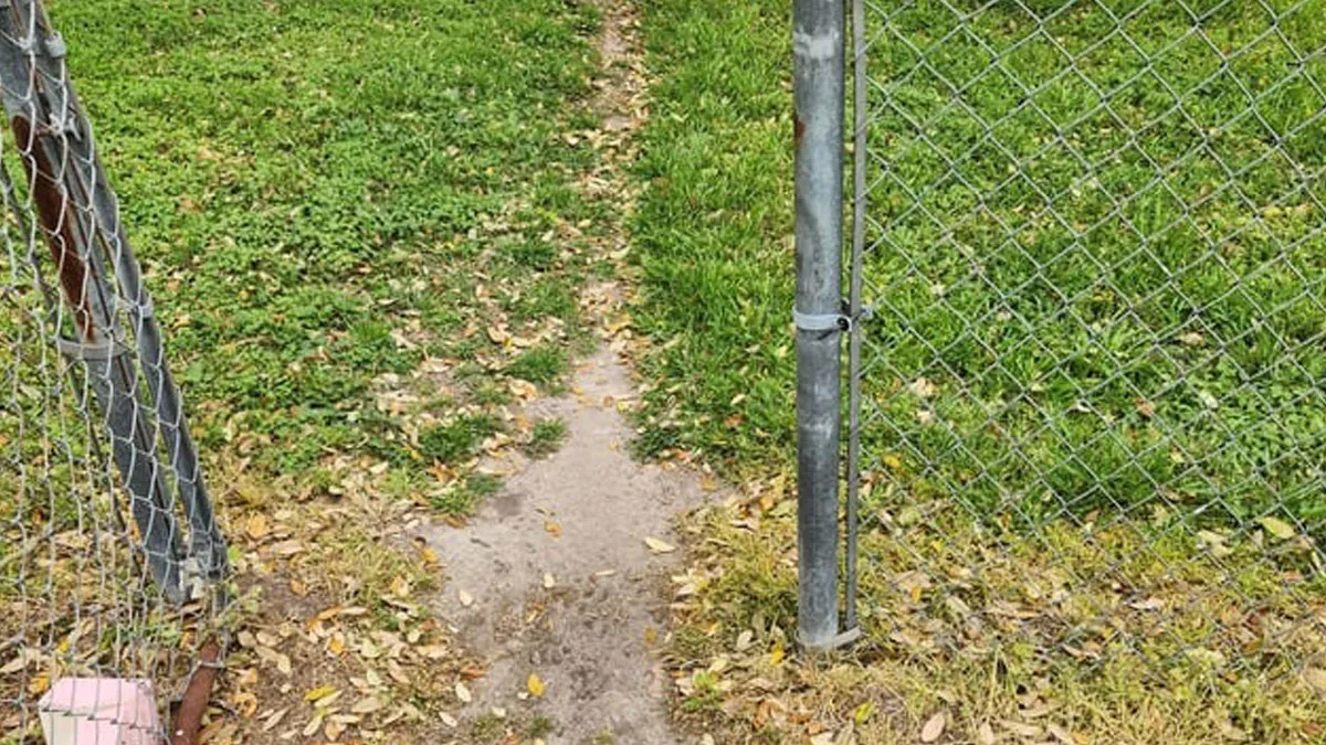30 «Caminos del deseo» creados por pura cabezonería humana