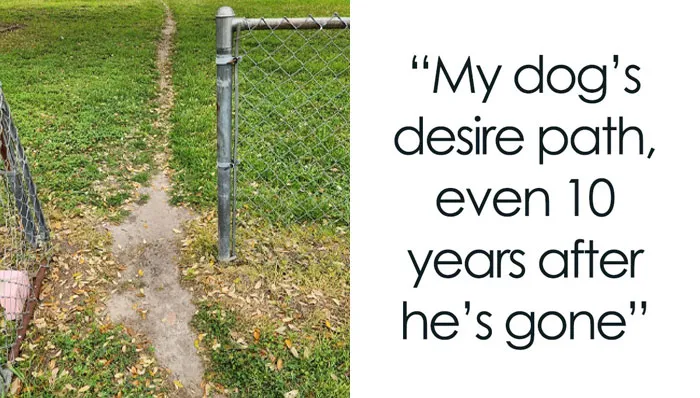 94 “Desire Paths” That Show Human Stubbornness In The Nicest Way Possible (New Pics)