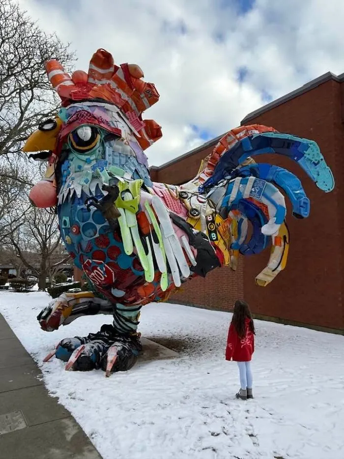 The Trash Rooster Of New Bedford, MA