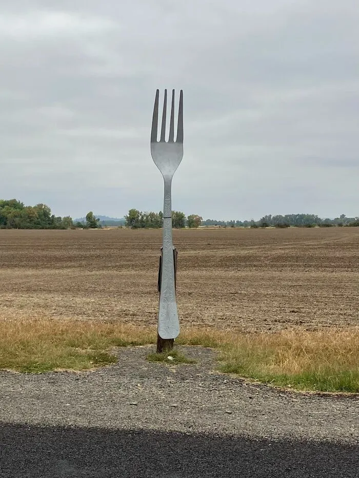 Fork In The Road. Near Lebanon Oregon. USA