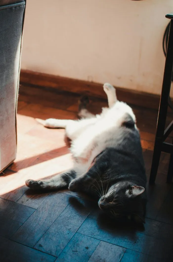 27 Small Joys People Forget To Appreciate, According To Our Community