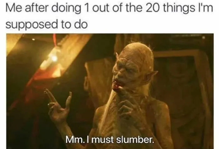 Funny meme showing a character humorously reacting after completing only one task, capturing the absurd humor of the meme.
