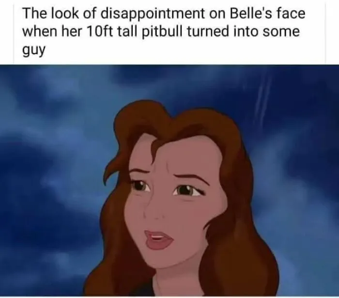 Disappointed animated woman meme illustrating funny memes that make absolutely no sense and somehow work.