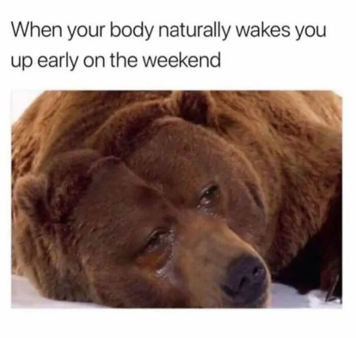 Sad bear lying down with tears, illustrating a funny meme about waking up early on the weekend from funny memes that make no sense.