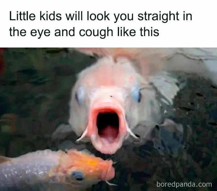 50 Random Memes That Make You Laugh Before You Understand Why