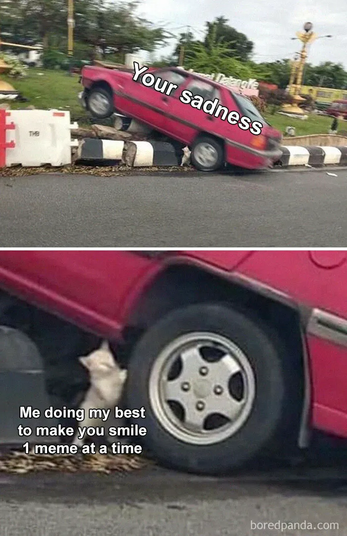 50 Random Memes That Make You Laugh Before You Understand Why