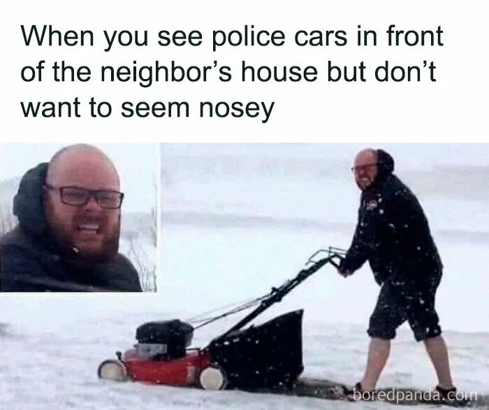 50 Random Memes That Make You Laugh Before You Understand Why