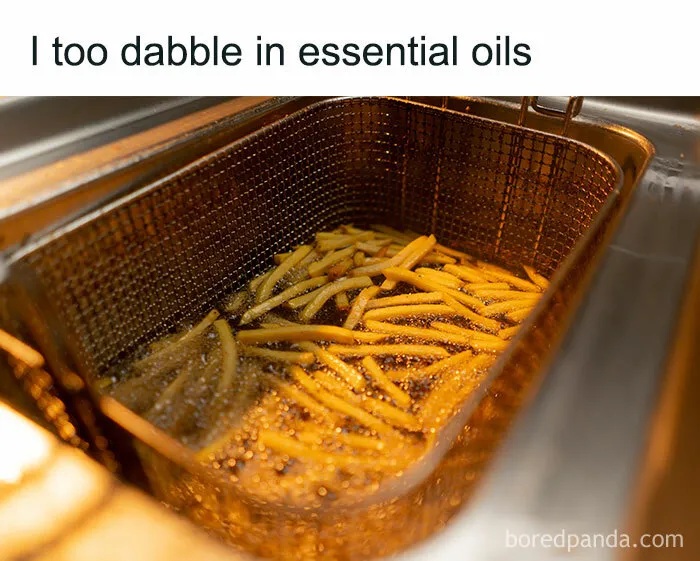 French fries frying in oil with a humorous caption, a perfect example of funny memes that make absolutely no sense.
