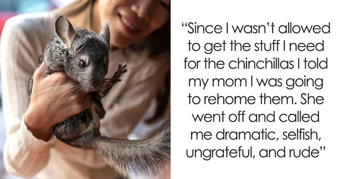 Mom Buys Chinchillas As B-Day Surprise, Teen Tries To Give Them Better Life, Gets Slammed For It