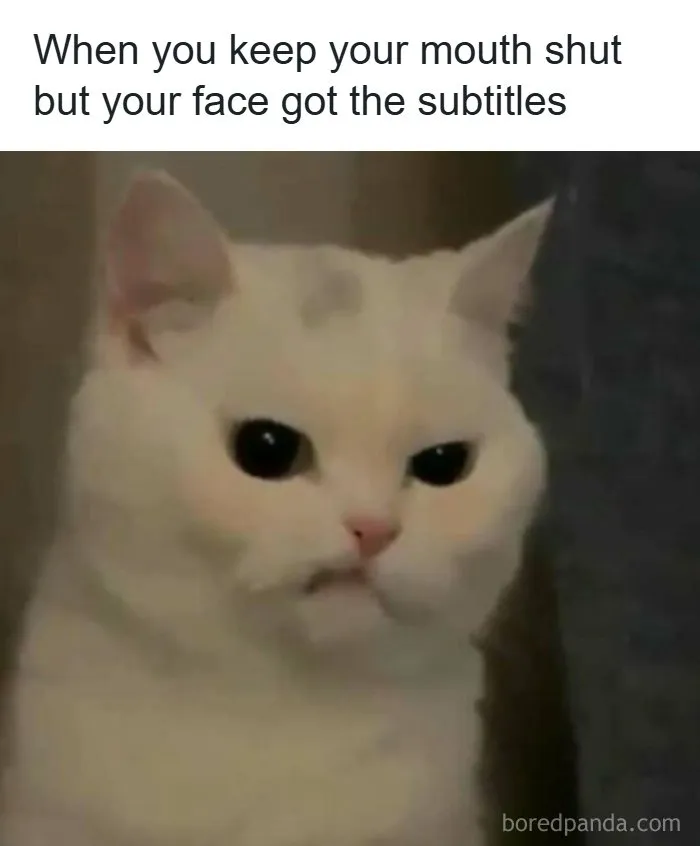 Laugh Away Life's Woes With 110 Memes That You Might Relate To (New Pics)