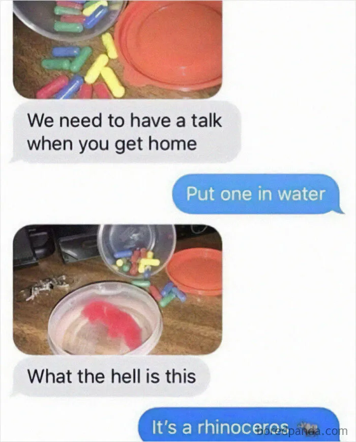 92 Random Memes That Made Scrolling Way More Enjoyable