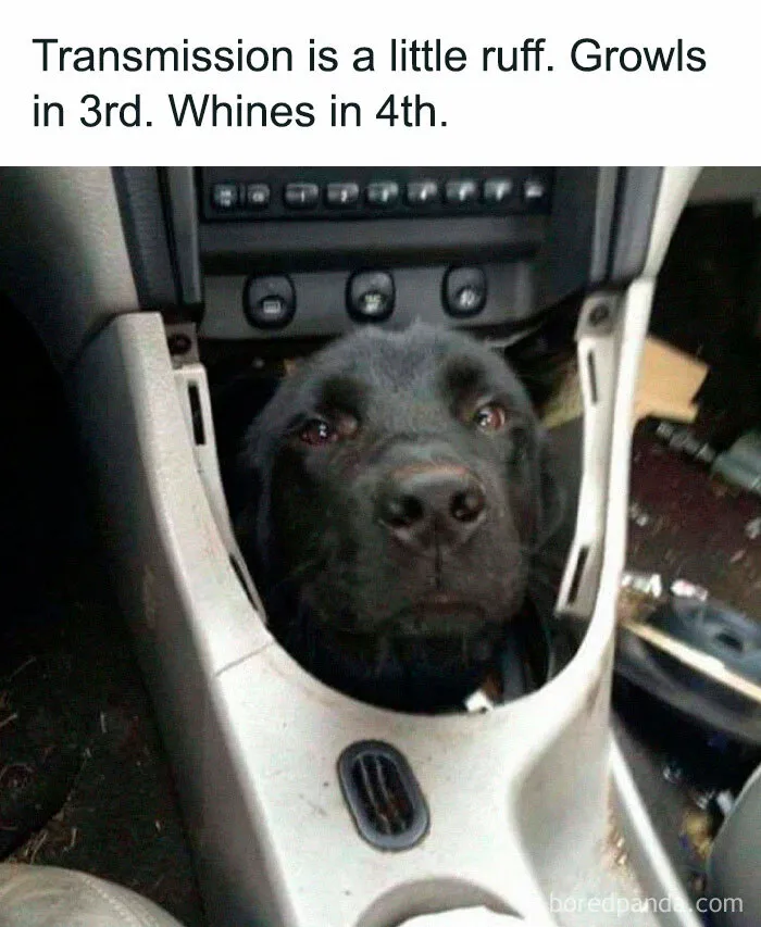 92 Random Memes That Made Scrolling Way More Enjoyable