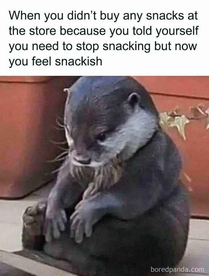 92 Random Memes That Made Scrolling Way More Enjoyable