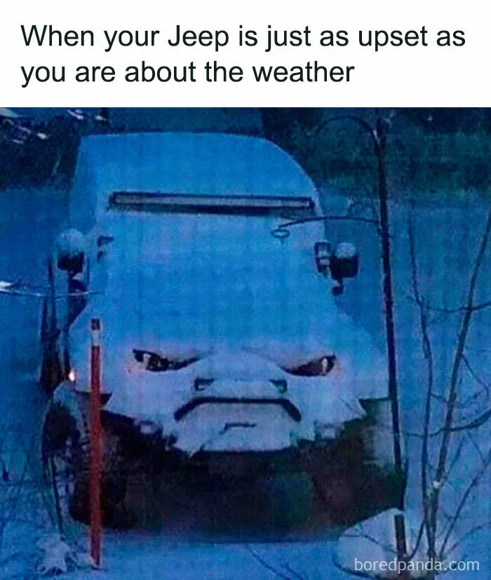 92 Random Memes That Made Scrolling Way More Enjoyable