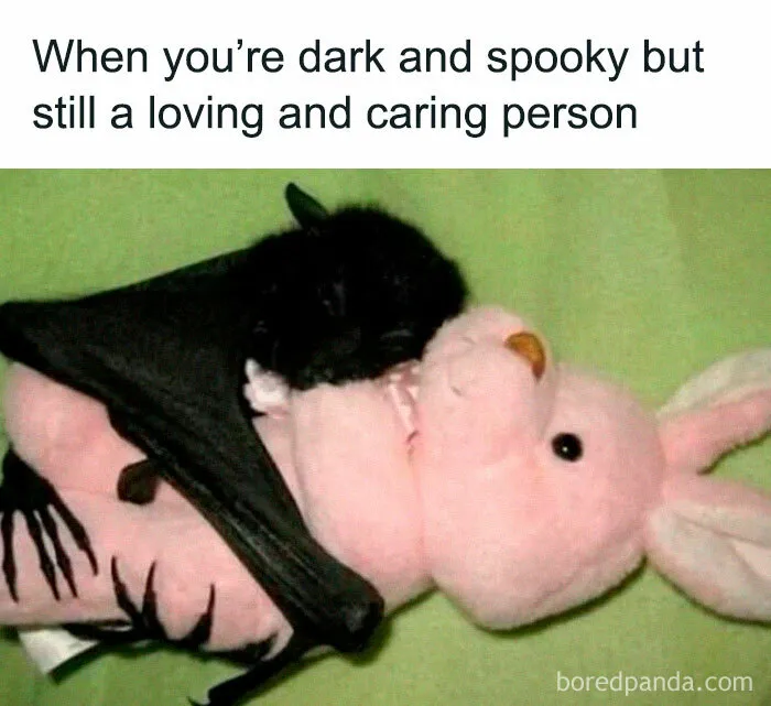 92 Random Memes That Made Scrolling Way More Enjoyable