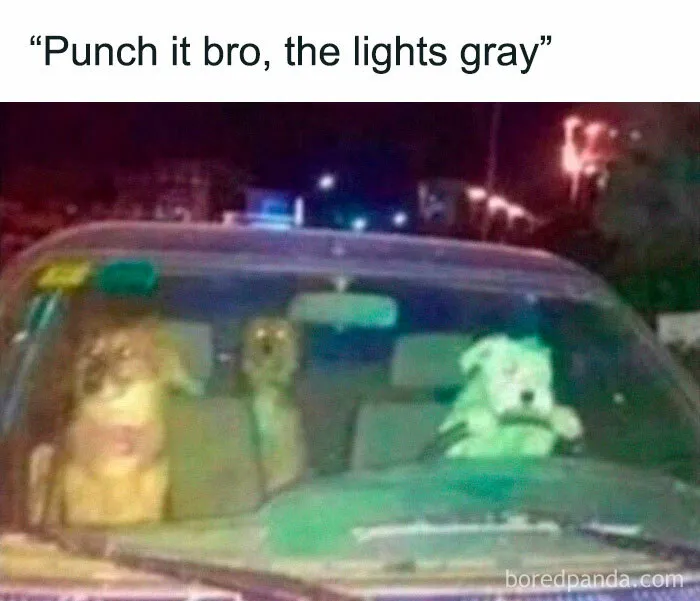 92 Random Memes That Made Scrolling Way More Enjoyable