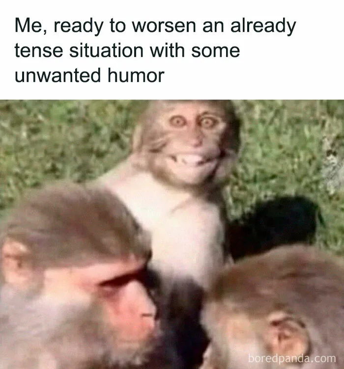 92 Random Memes That Made Scrolling Way More Enjoyable