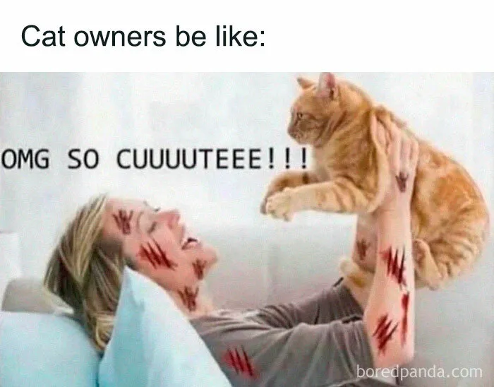 92 Random Memes That Made Scrolling Way More Enjoyable