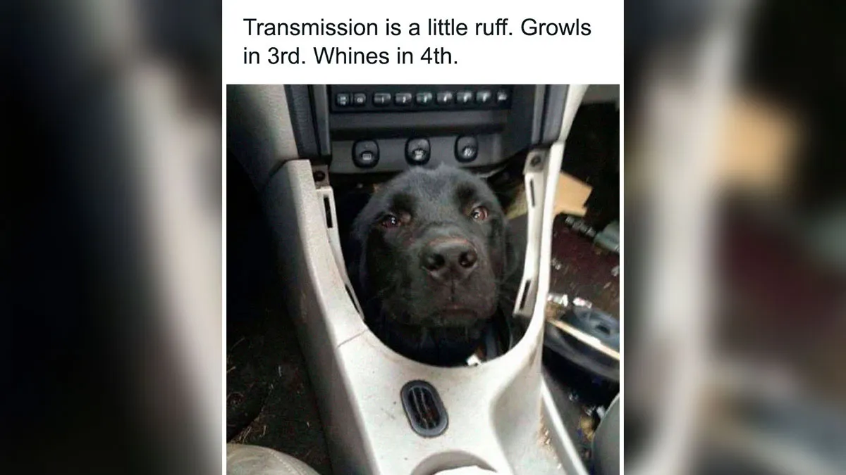92 Random Memes That Made Scrolling Way More Enjoyable