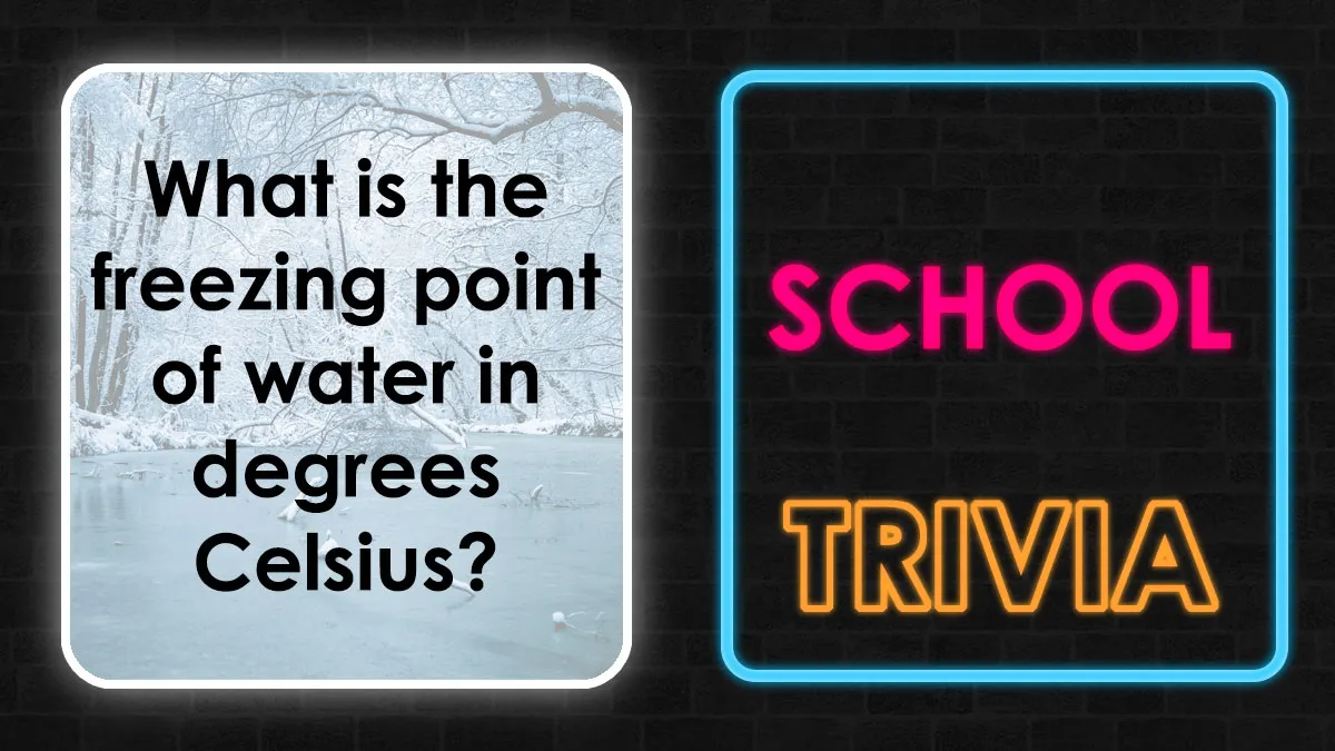 We Put Together 33 School Questions — Any Score Above 27 Is Impressive