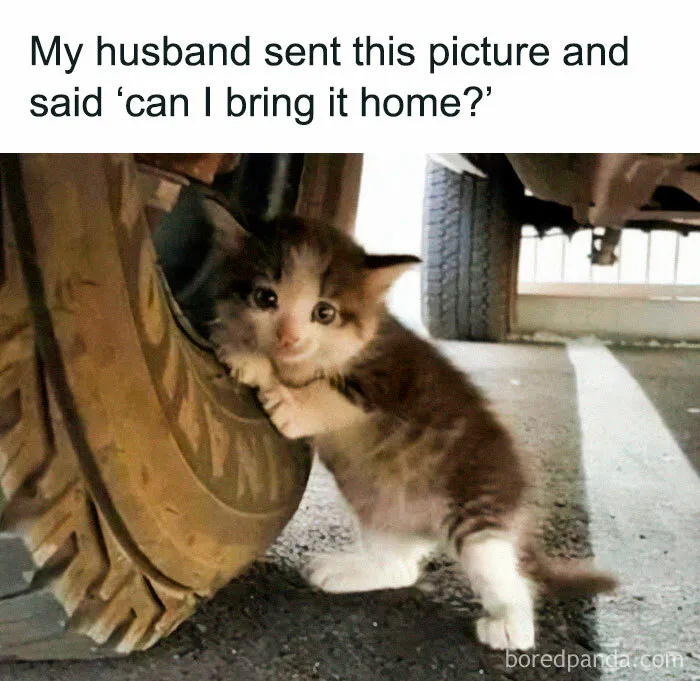 So Silly