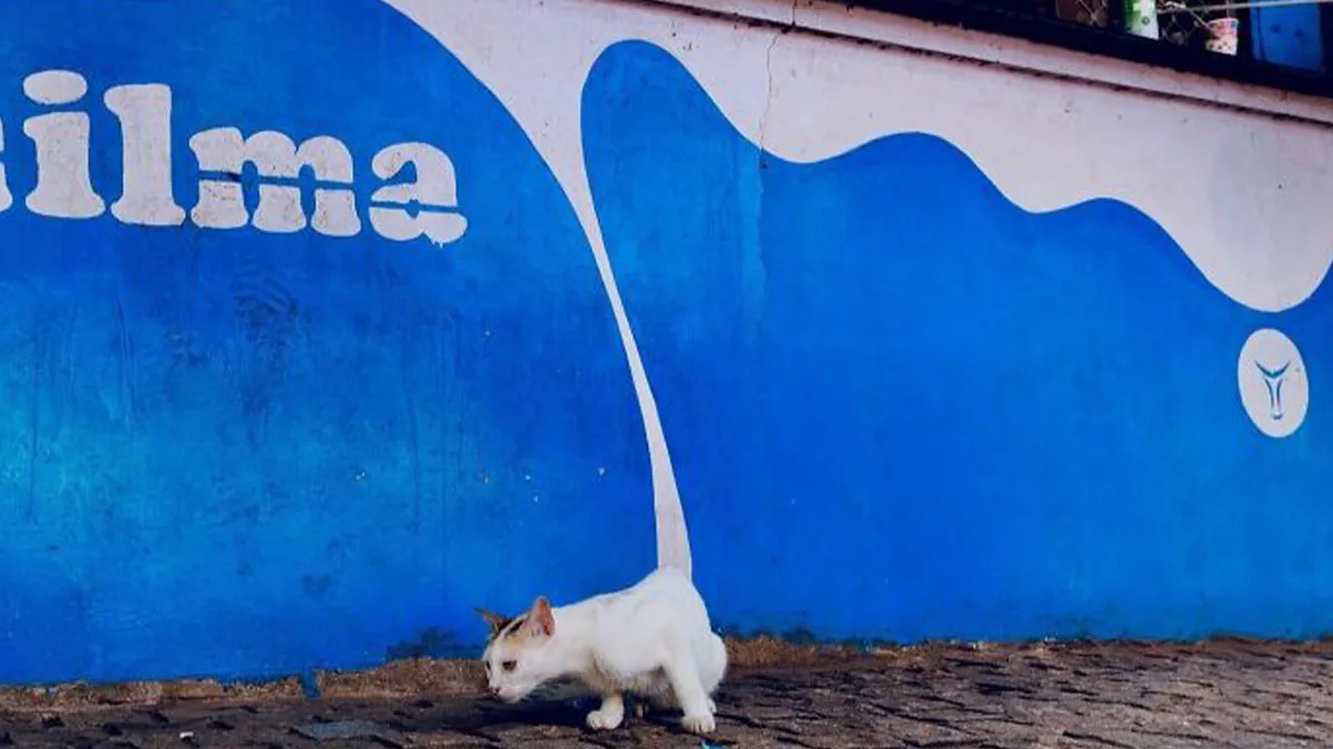 35 New And Captivating Street Photos That Showcase Life’s Unexpected Moments