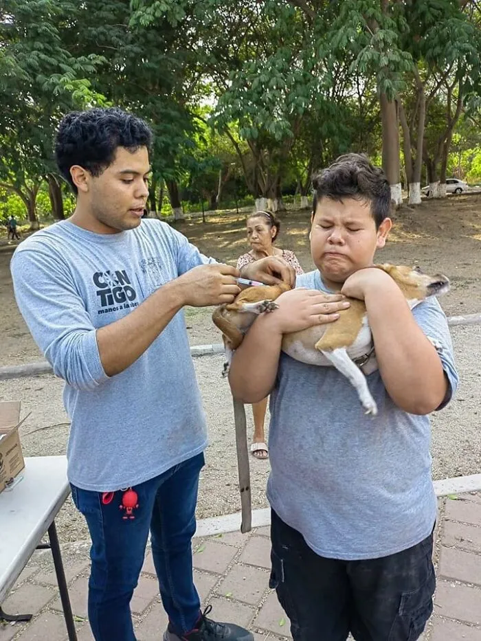 30 Wholesome “Important Animal Images” That Prove The Human-Animal Bond Is Unbreakable (New Pics)
