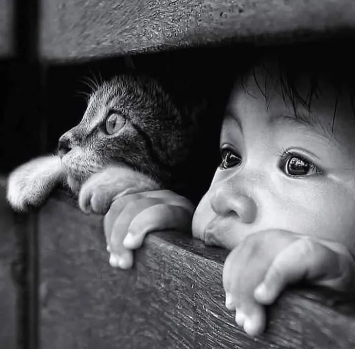 37 Fascinating Photos That Prove Timing Is Everything (New Pics)