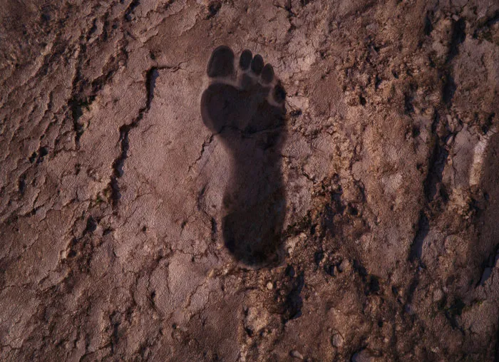 Ancient human footprint fossil embedded in cracked earth representing mysteries that have sent many people down the rabbit hole.