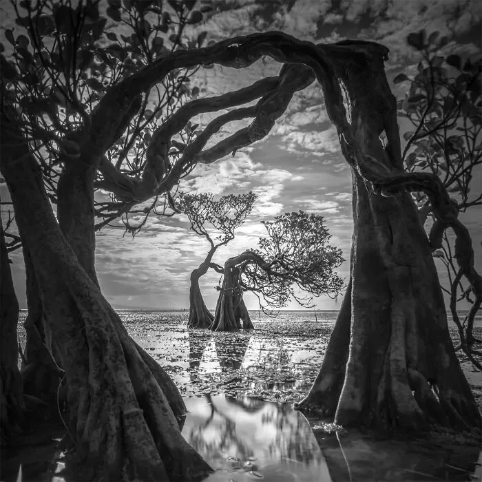 The Most Stunning Nature Photos Of 2025, According To The IPA Awards