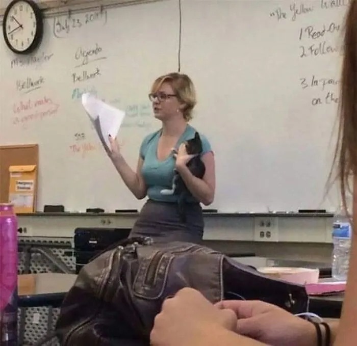 Woman holding a black and white cat in a classroom, showing the unexpectedly beautiful bonds between humans and animals.