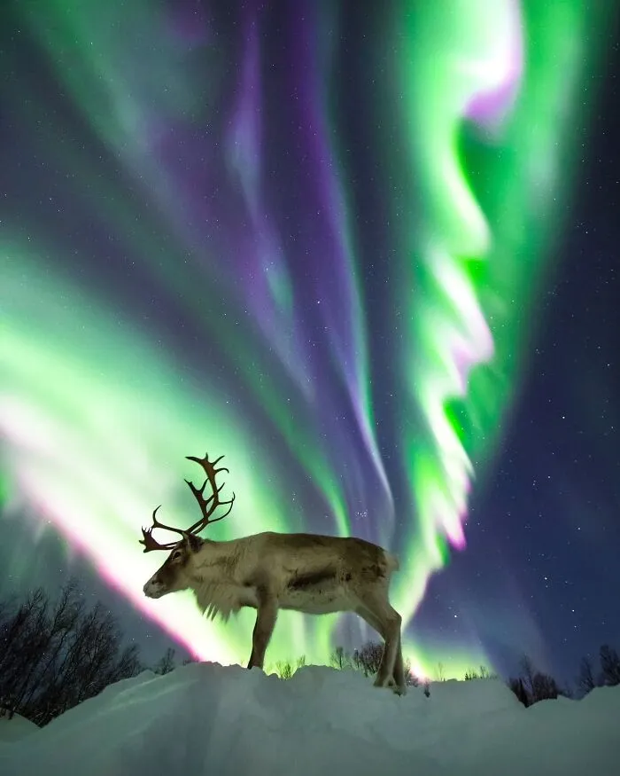 After-Dark Photos That Prove Darkness Can Be Beautiful (39 Pics)