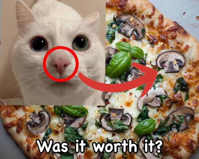 45 Feel-Good Memes From 'A Cat Named Snowflake'